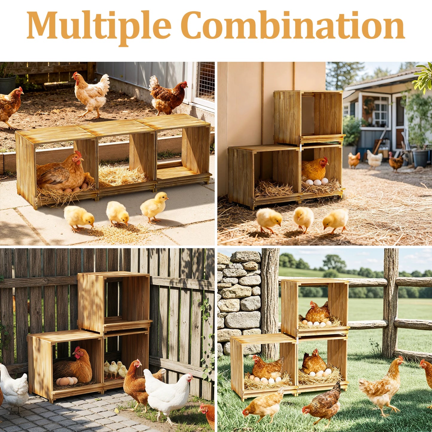 Borwart 3 Compartment Pine Wood Chicken Nesting Box For Poultry