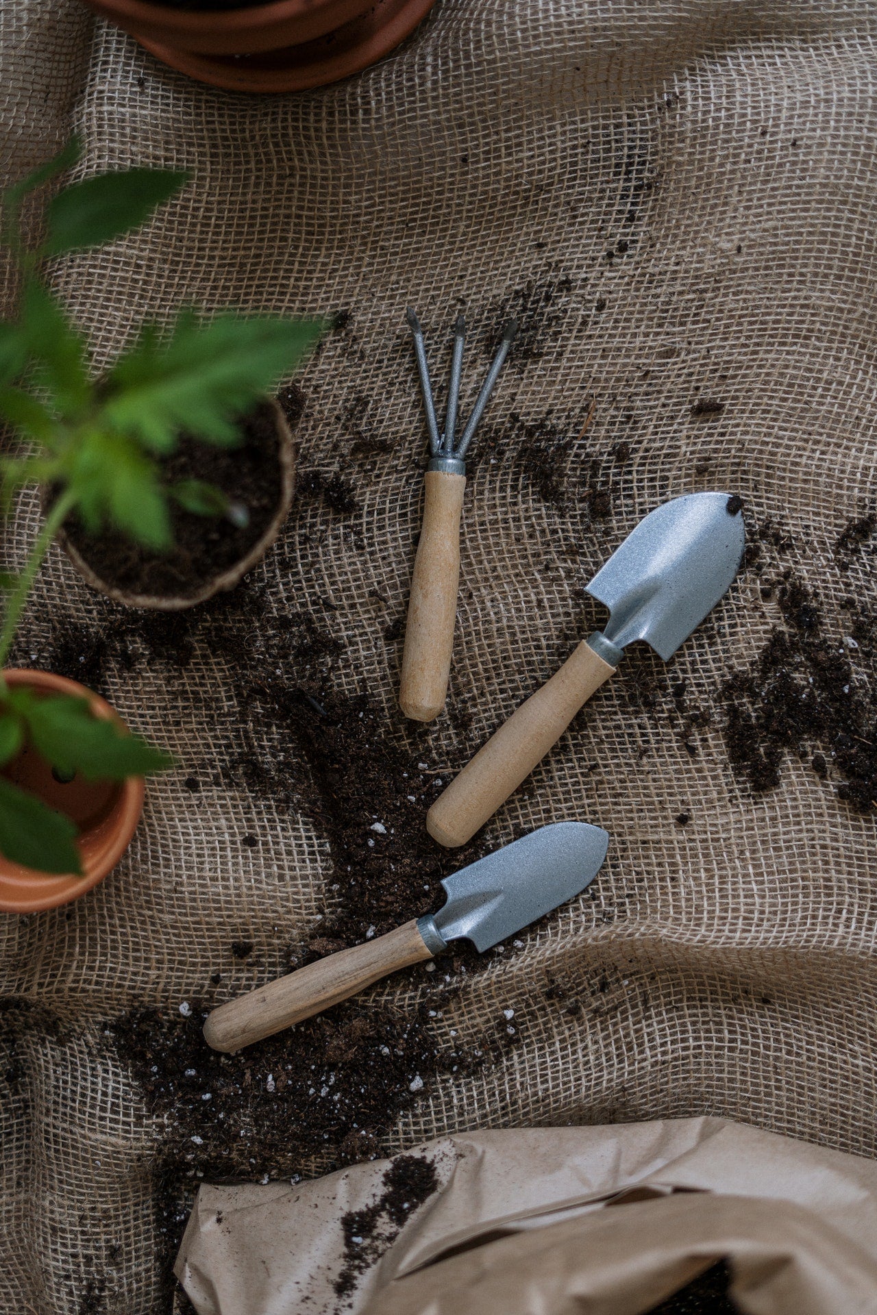 Home & Garden