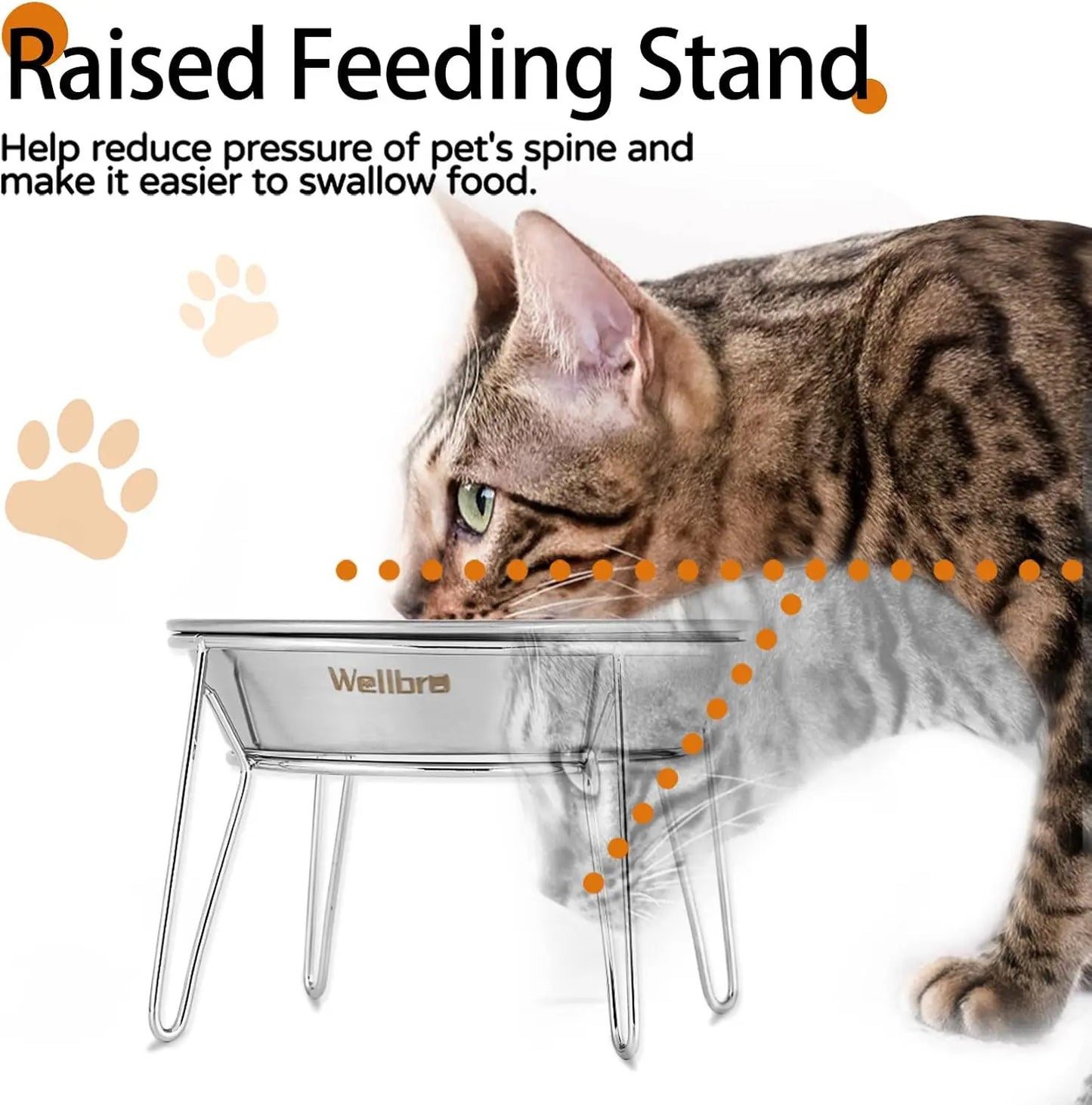 Raised Stainless Steel Pet Bowls For Cats And Small Dogs 4 Pack