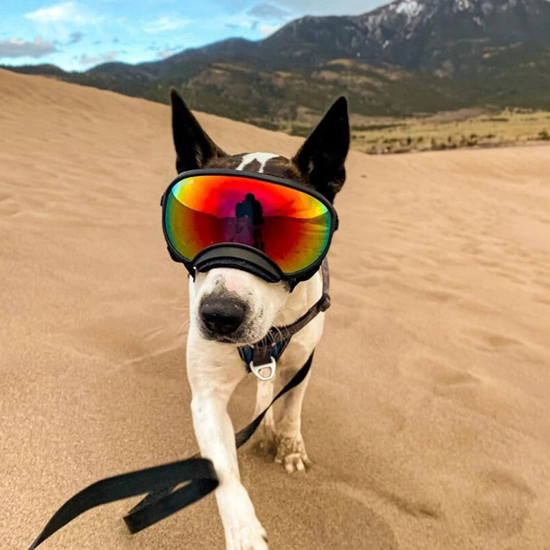 PETRAVELCN Dog Goggles Anti UV Sunglasses For Travel