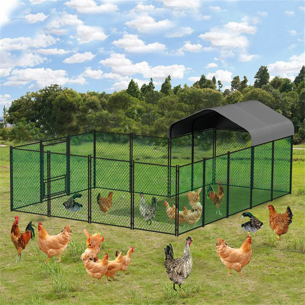 BORWART Heavy Duty Walk In Chicken Coop With Waterproof Cover