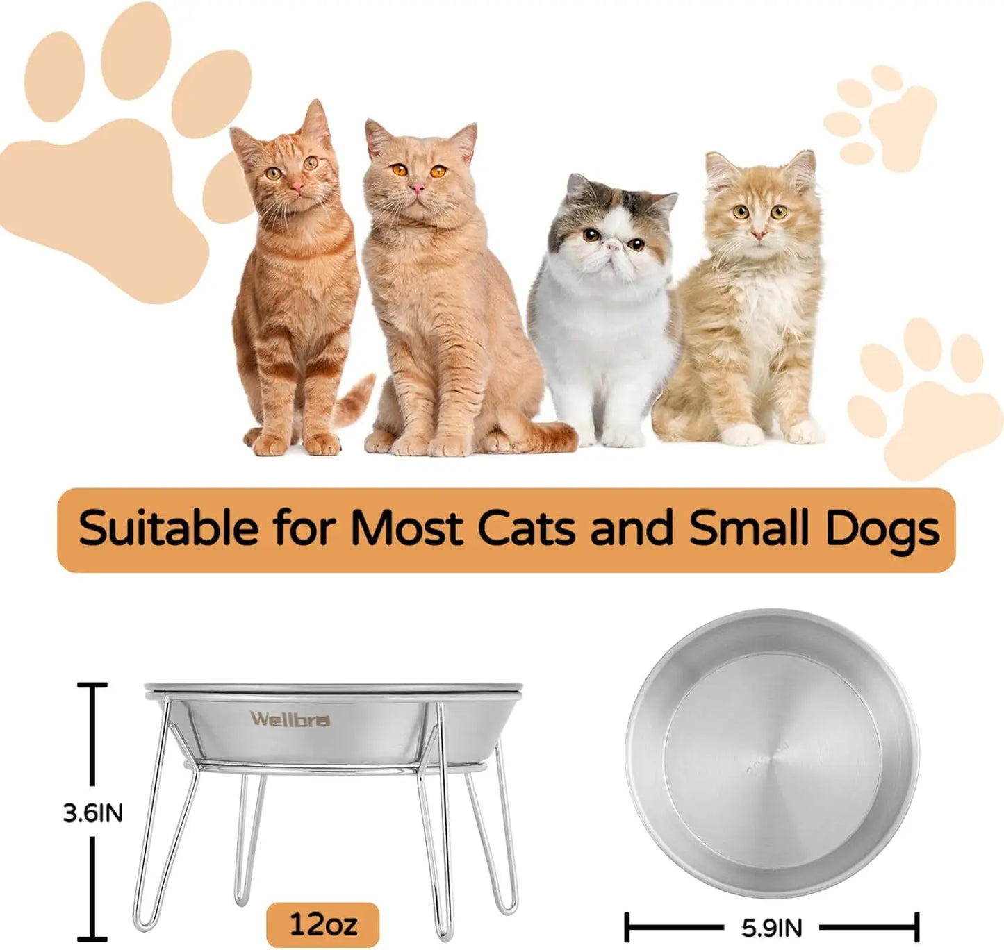 Raised Stainless Steel Pet Bowls For Cats And Small Dogs 4 Pack
