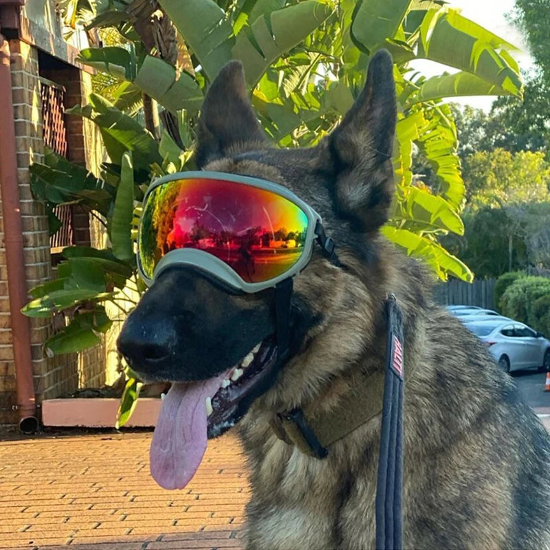 PETRAVELCN Dog Goggles Anti UV Sunglasses For Travel