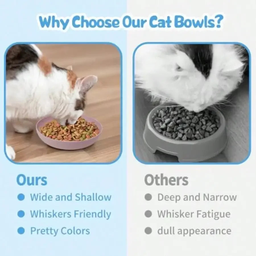 8 Pack Whisker Friendly Cat Dishes Shallow Bowls Indoor Cats