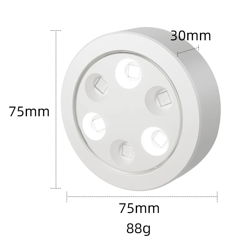 Rechargeable Picture Lights For Wall With Remote Dim And RGB