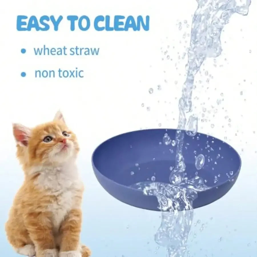 8 Pack Whisker Friendly Cat Dishes Shallow Bowls Indoor Cats