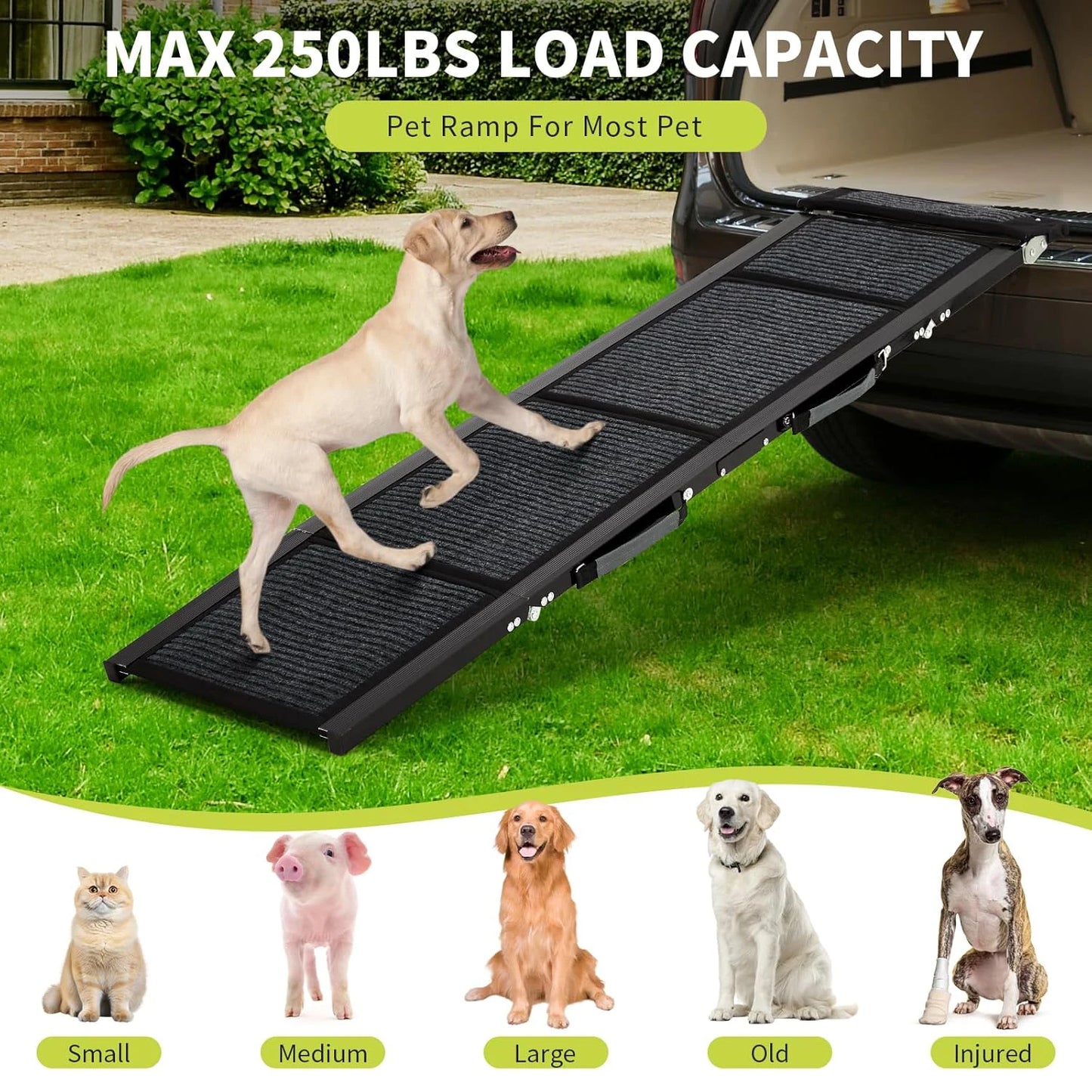 HiMISSDog Upgraded Dog Ramp For Cars With Non Slip Surface