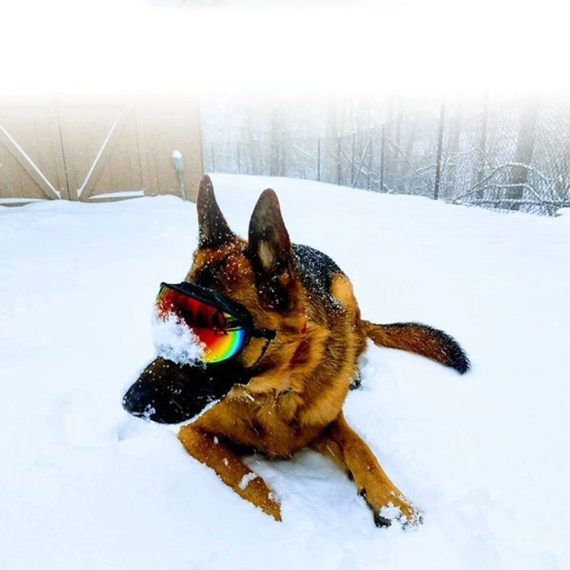 PETRAVELCN Dog Goggles Anti UV Sunglasses For Travel