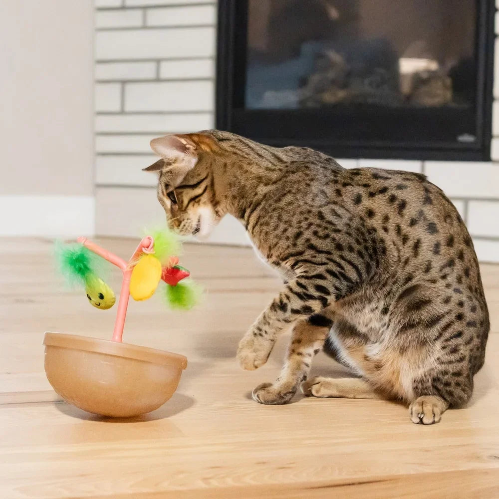 Wobbling Cat Toy Fruit Bowl With Five Interactive Catnip Toys