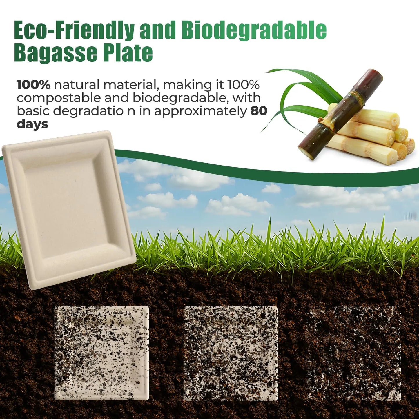 BONJEAN Disposable Paper Plates Set 300Pcs Sugarcane Utensils Compostable