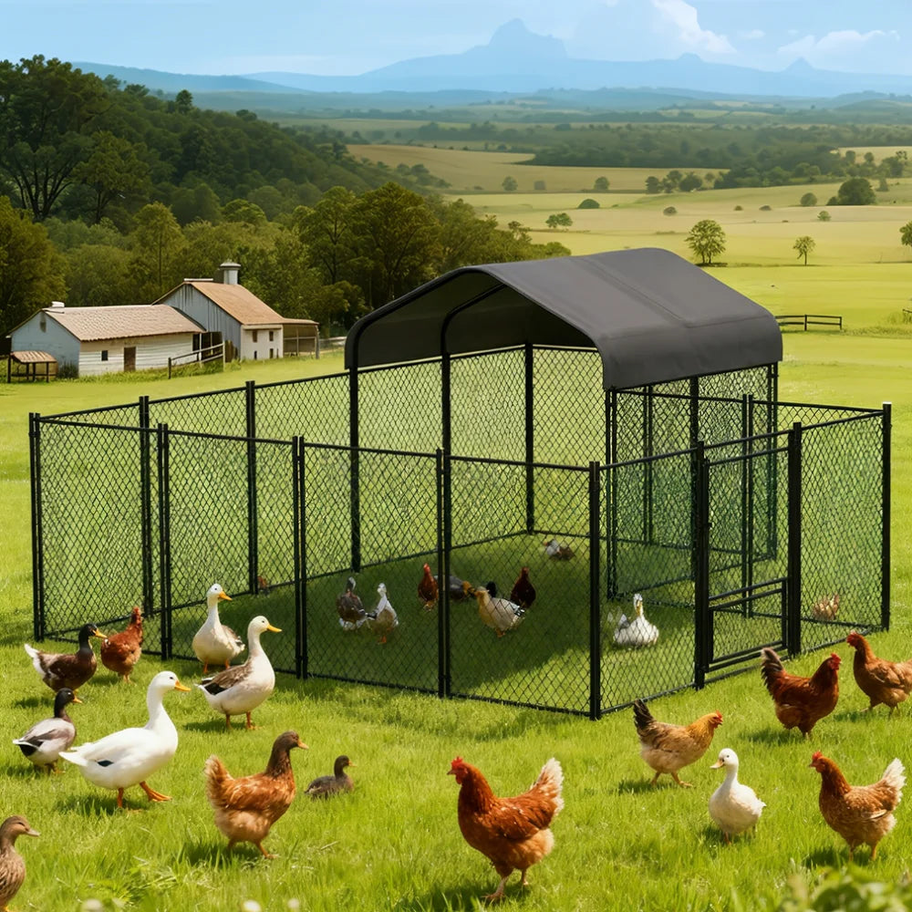BORWART Heavy Duty Walk In Chicken Coop With Waterproof Cover